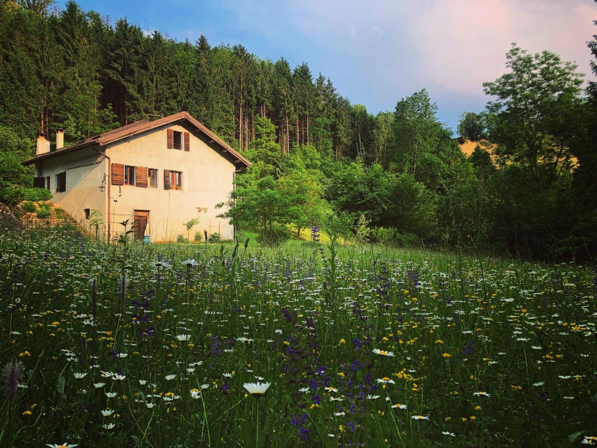 卡塞塔住宿加早餐旅馆 Cesiomaggiore 外观 照片