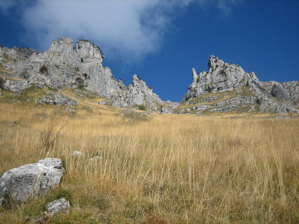 卡塞塔住宿加早餐旅馆 Cesiomaggiore 外观 照片