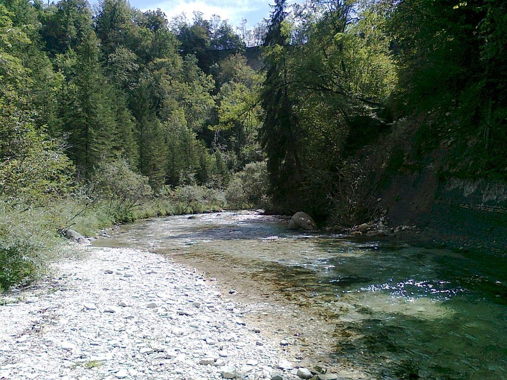 卡塞塔住宿加早餐旅馆 Cesiomaggiore 外观 照片